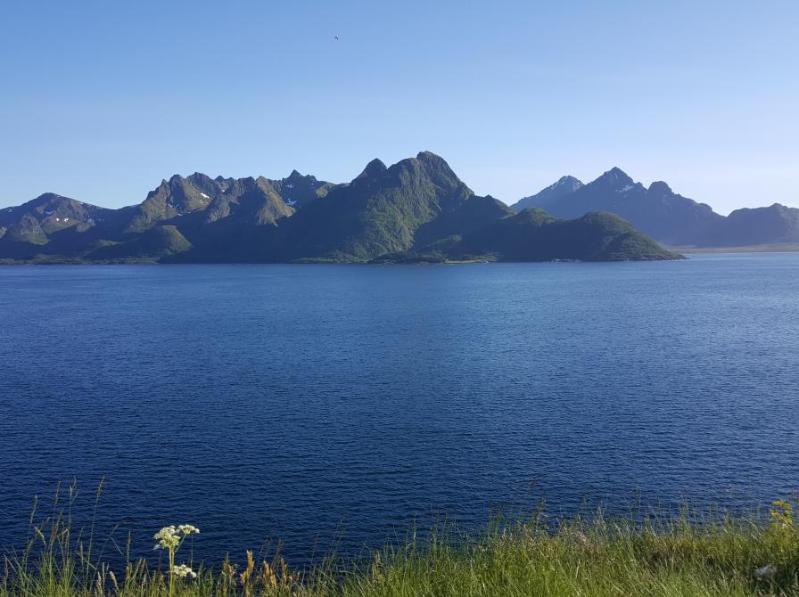 Fjelde på Lofoten